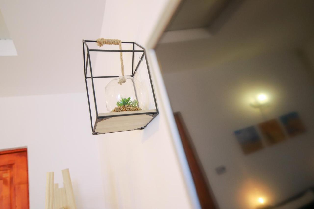 June Studio Apartman Brassó Kültér fotó